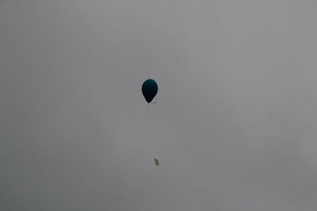 20150620_153143.jpg