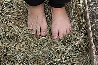 20150620_122942.jpg