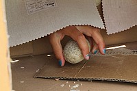 20150620_123208.jpg