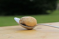 20150620_125431.jpg