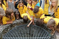 20150620_142345.jpg
