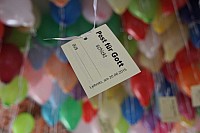 20150620_143423.jpg