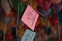 20150620_151235.jpg