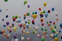 20150620_153117_02.jpg